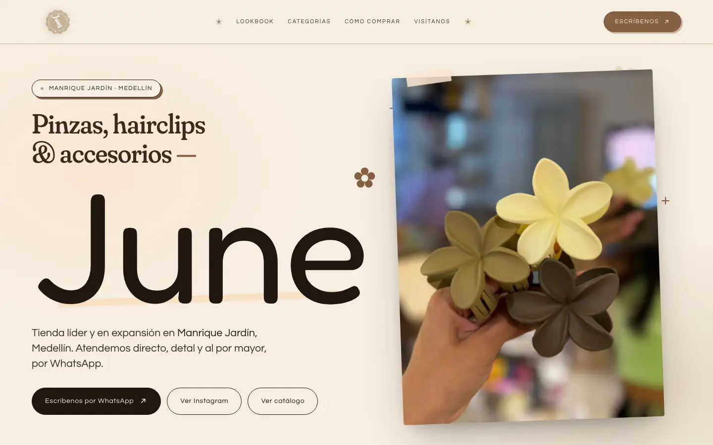 Vista previa del sitio web de June Accesorios